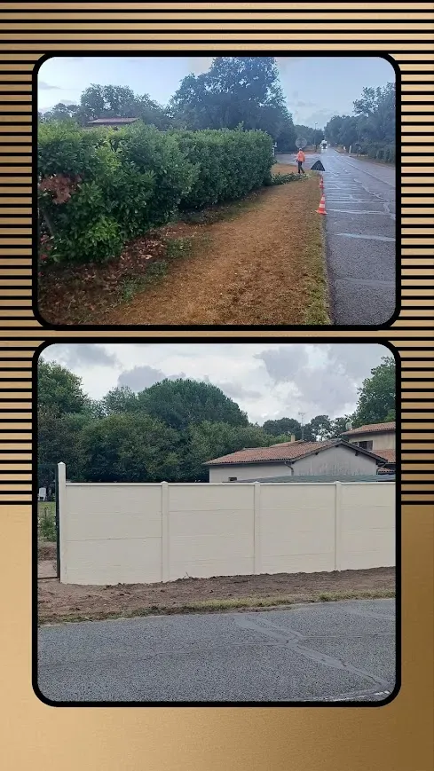 20251103_220706-COLLAGE