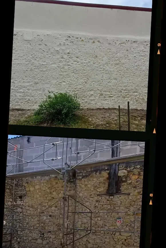 20251103_222008-COLLAGE