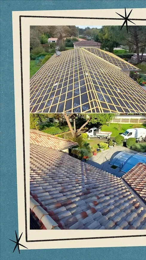 20251103_222259-COLLAGE